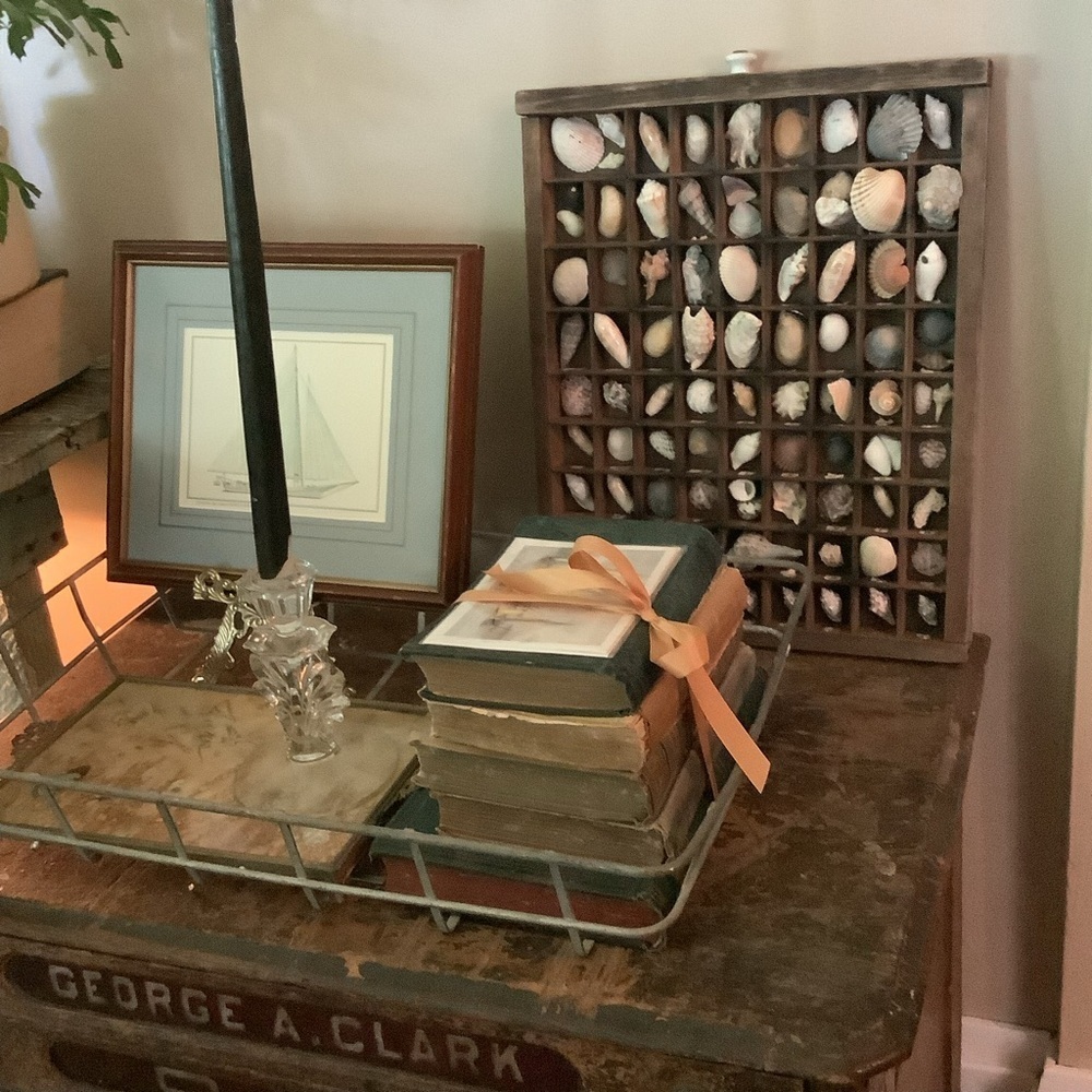 Vintage Antique Printers Tray Filled With Seashells 🐚 Wall Home Decor - Picture 2 of 6